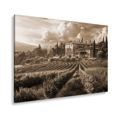 Hauptbild Sepia Standart