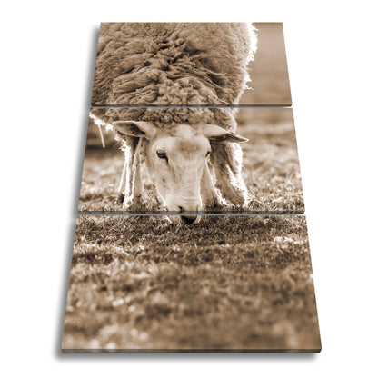 Hauptbild Sepia 3 Teilig