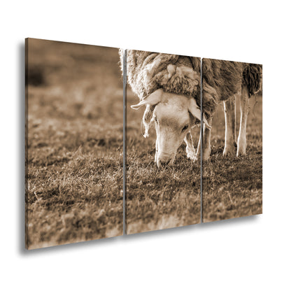 Hauptbild Sepia 3 Teilig