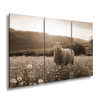 Hauptbild Sepia 3 Teilig