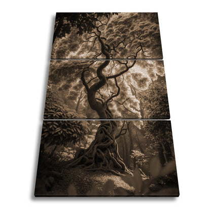 Hauptbild Sepia 3 Teilig