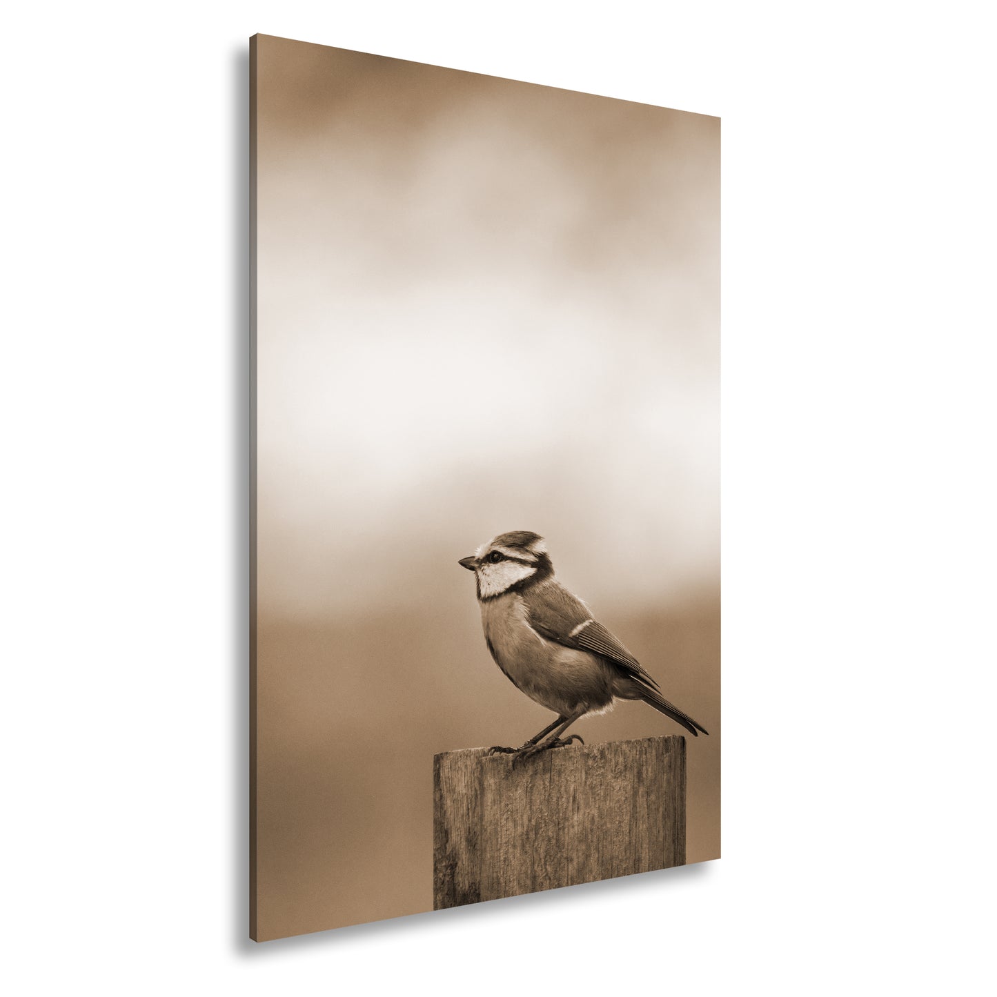 Hauptbild Sepia Standart