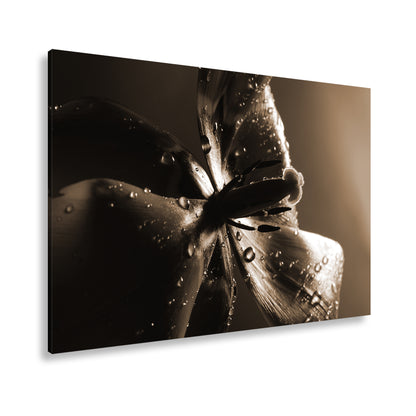 Hauptbild Sepia Standart