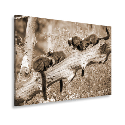 Hauptbild Sepia Standart