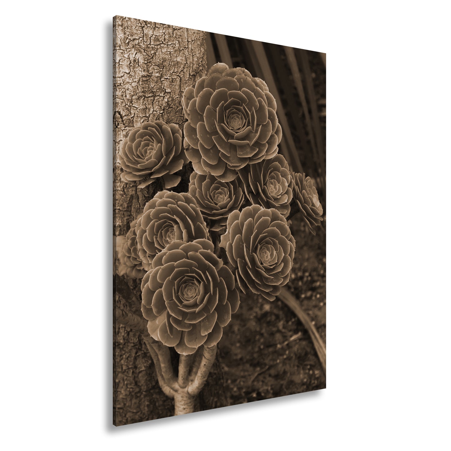 Hauptbild Sepia Standart