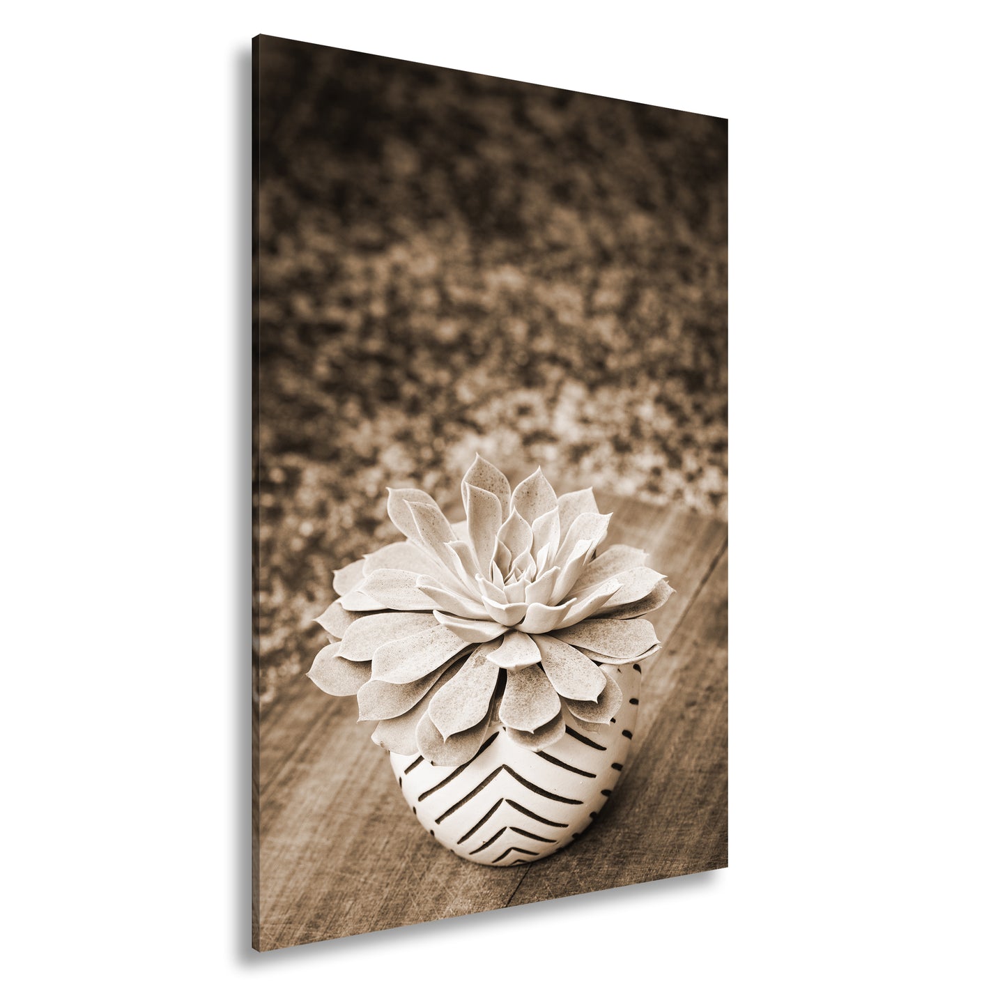 Hauptbild Sepia Standart