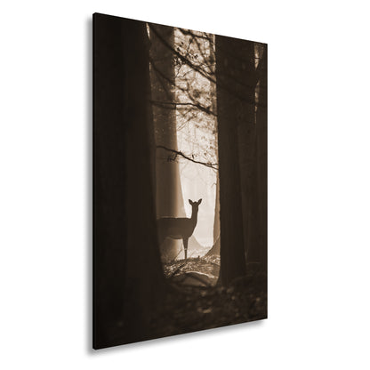 Hauptbild Sepia Standart