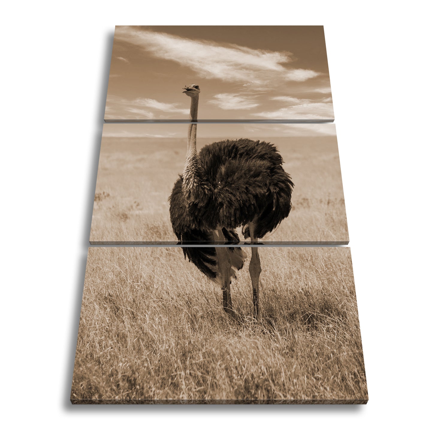 Hauptbild Sepia 3 Teilig