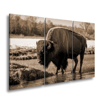 Hauptbild Sepia 3 Teilig