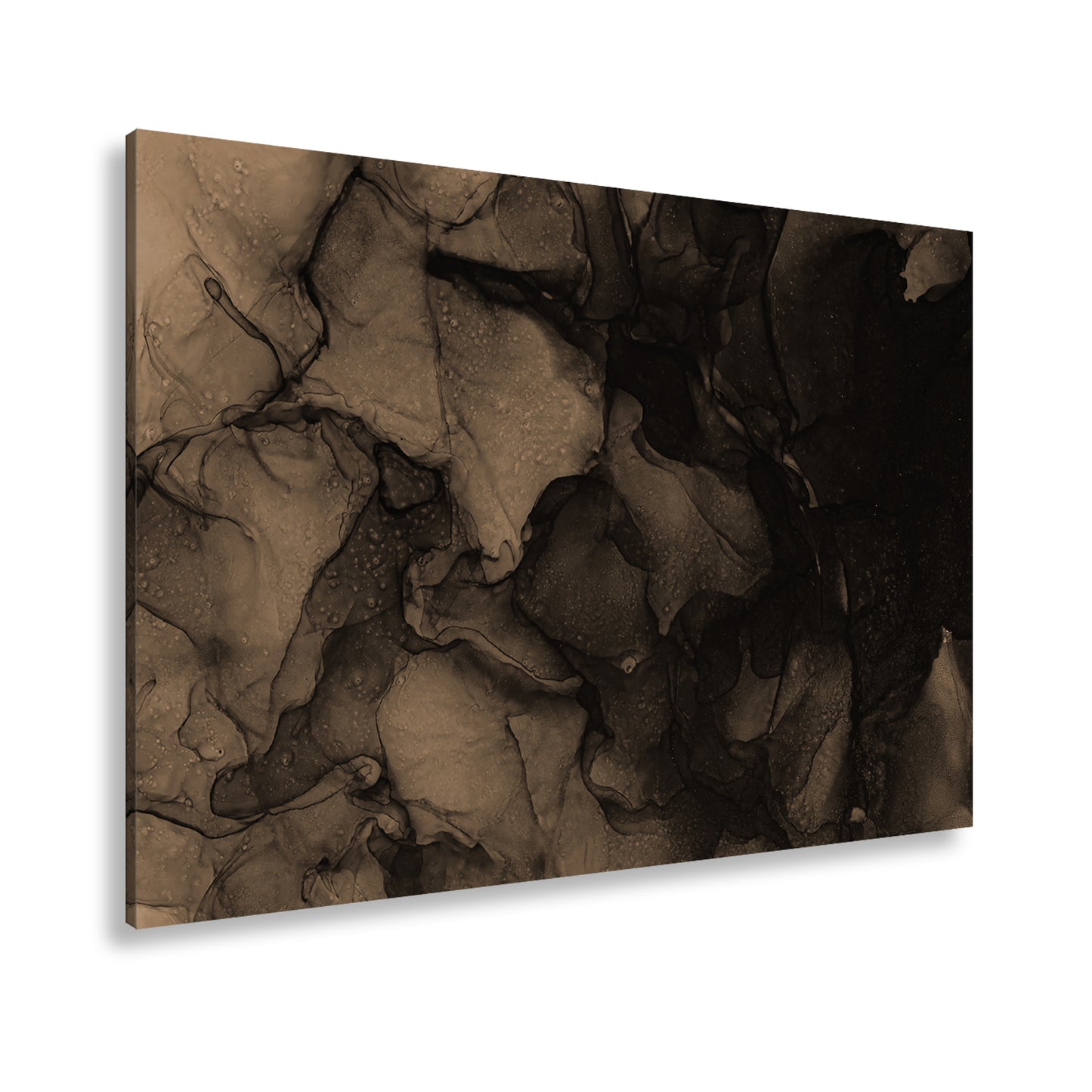 Hauptbild Sepia Standart