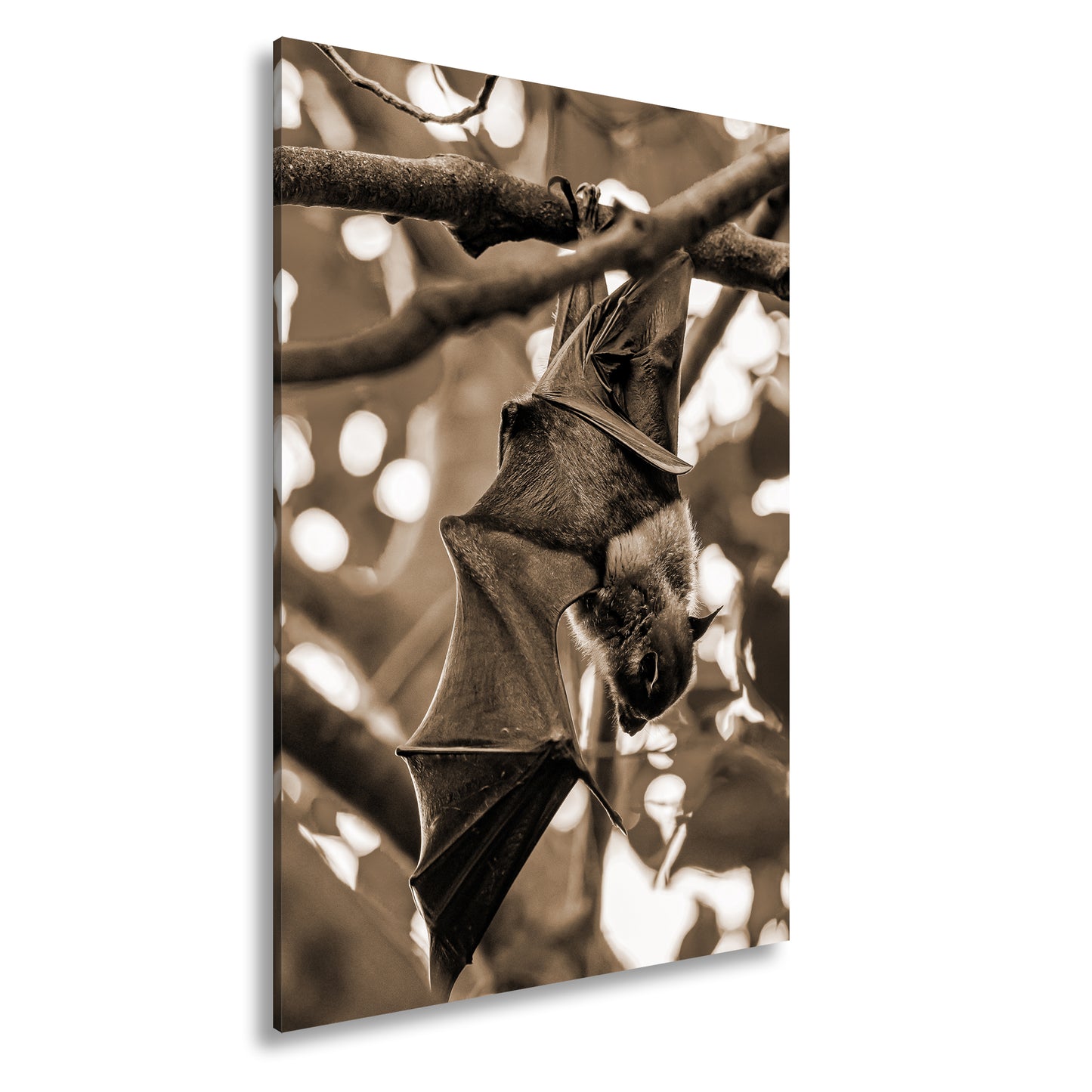 Hauptbild Sepia Standart