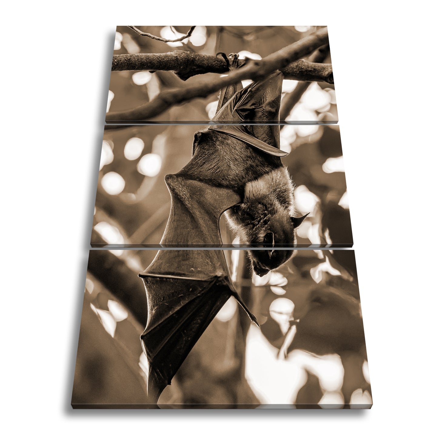 Hauptbild Sepia 3 Teilig