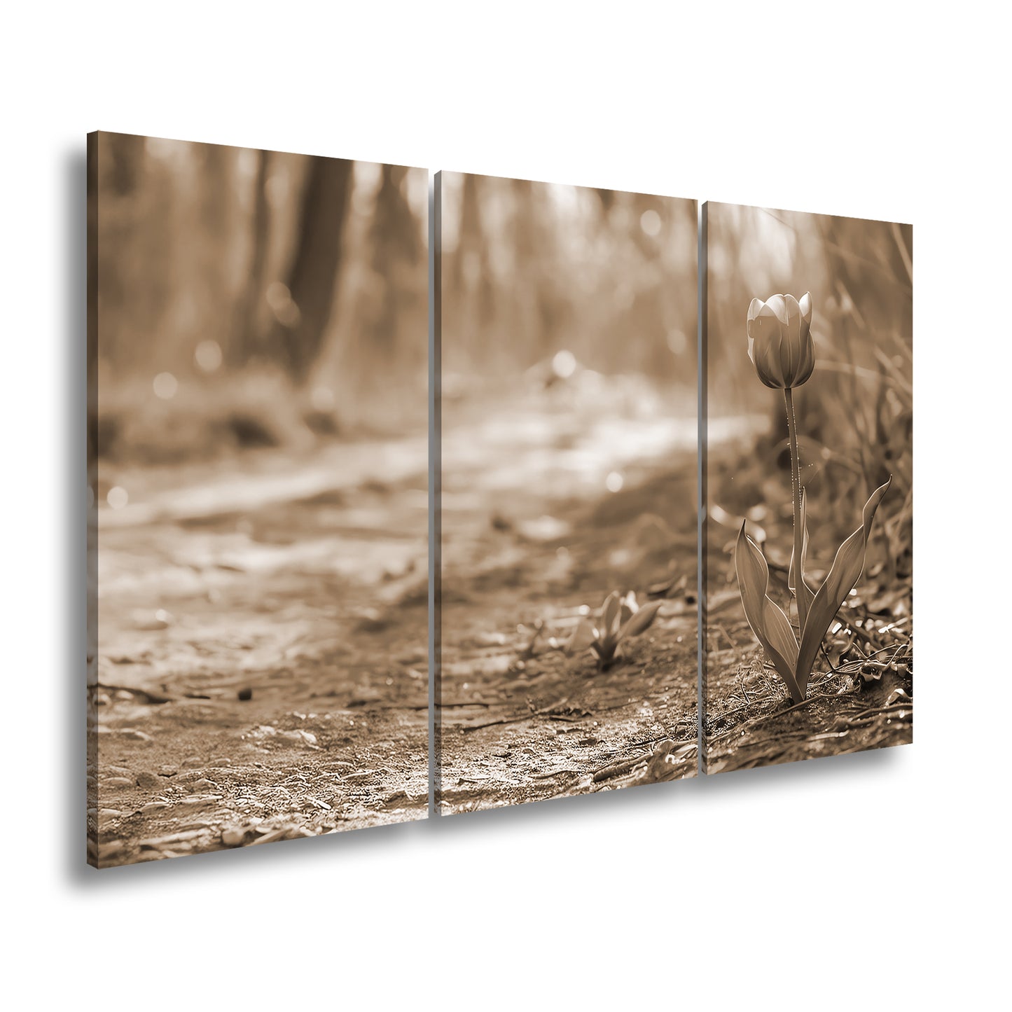 Hauptbild Sepia 3 Teilig