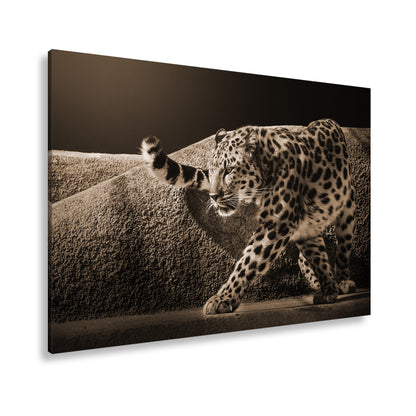 Hauptbild Sepia Standart