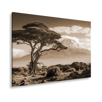 Hauptbild Sepia Standart