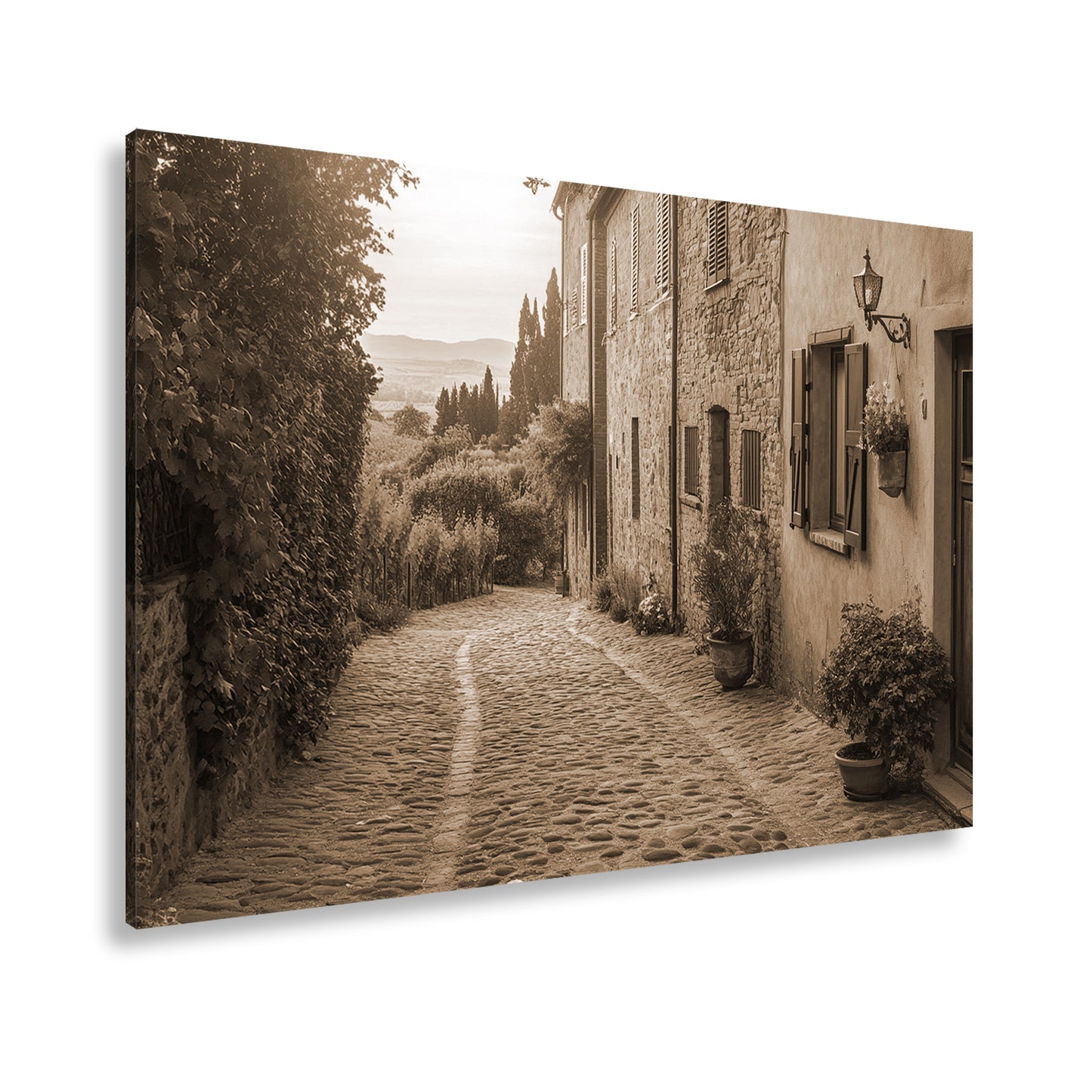 Hauptbild Sepia Standart