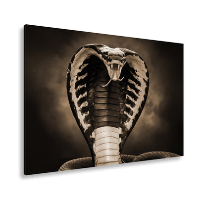 Hauptbild Sepia Standart