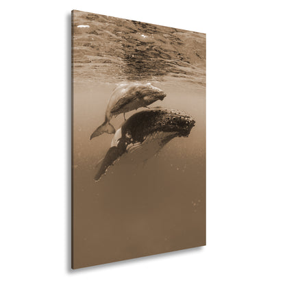 Hauptbild Sepia Standart