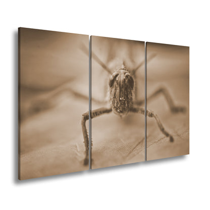 Hauptbild Sepia 3 Teilig