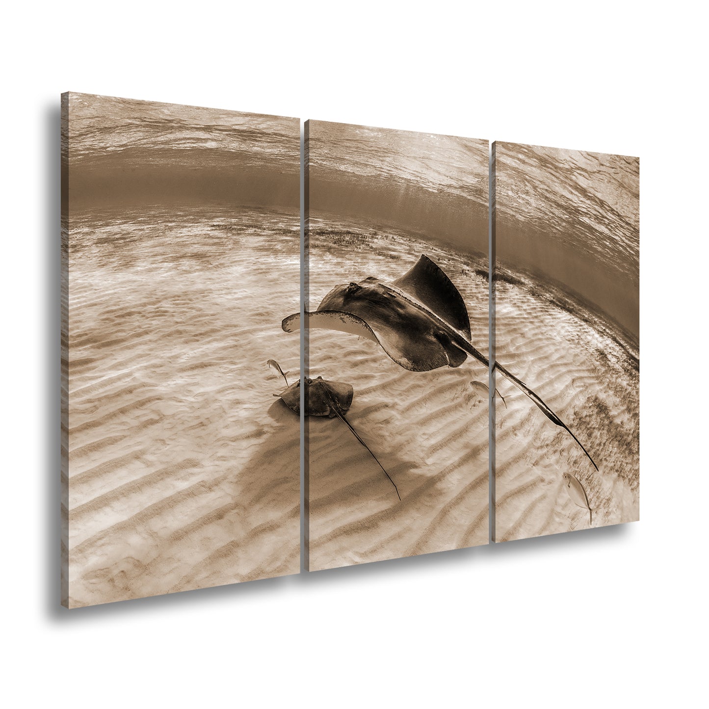 Hauptbild Sepia 3 Teilig