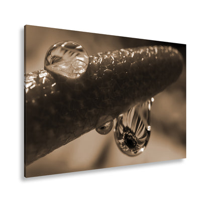 Hauptbild Sepia Standart