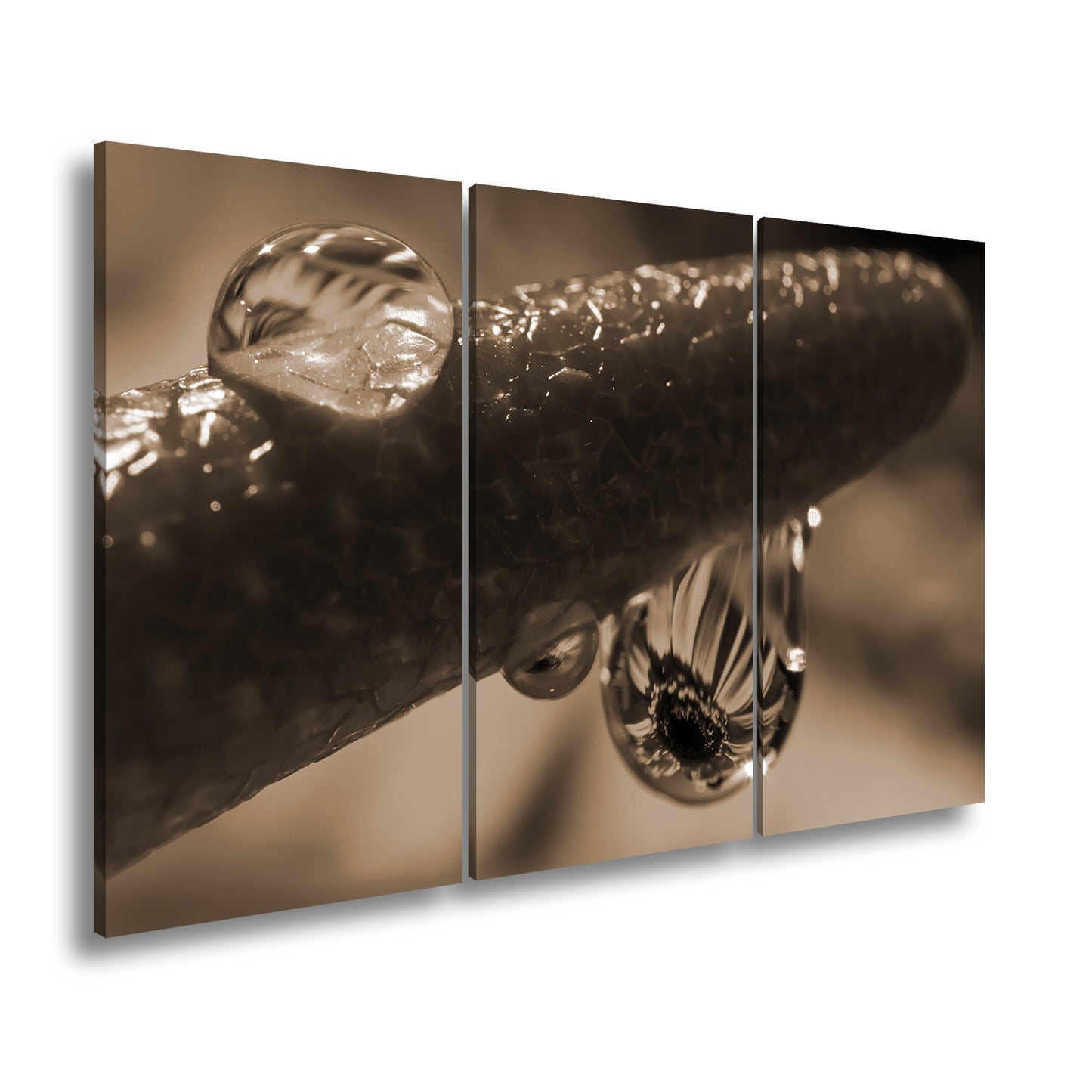 Hauptbild Sepia 3 Teilig