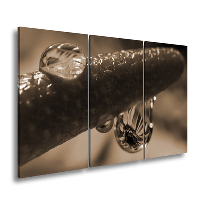 Hauptbild Sepia 3 Teilig