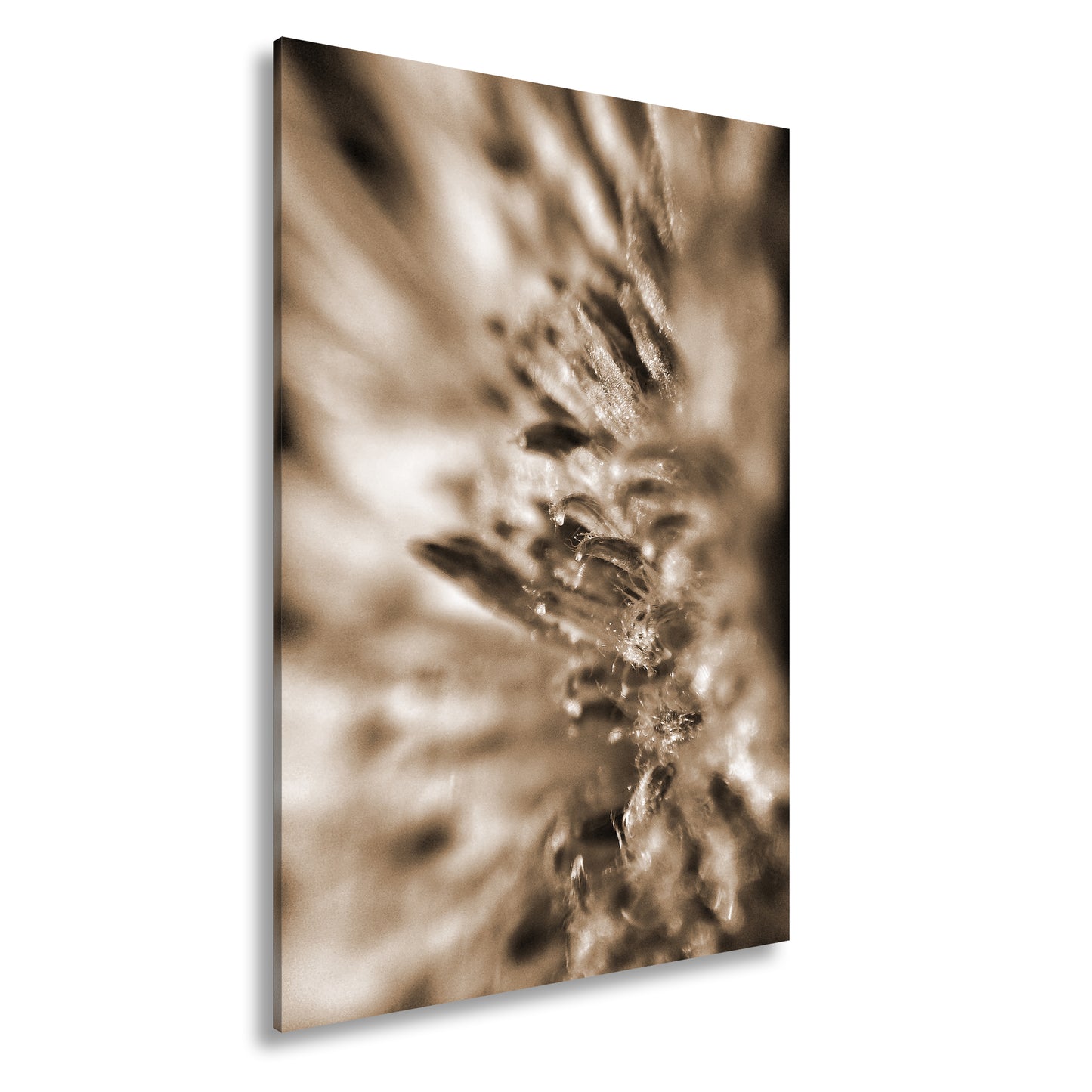 Hauptbild Sepia Standart