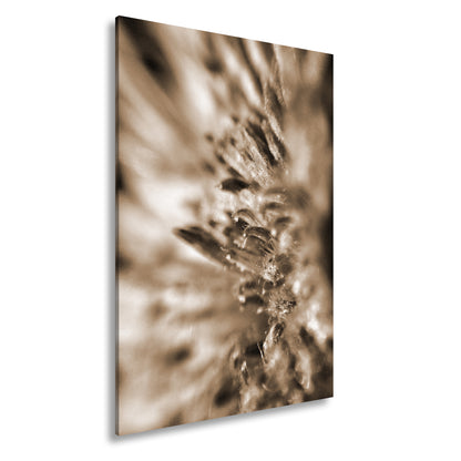 Hauptbild Sepia Standart