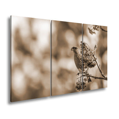 Hauptbild Sepia 3 Teilig