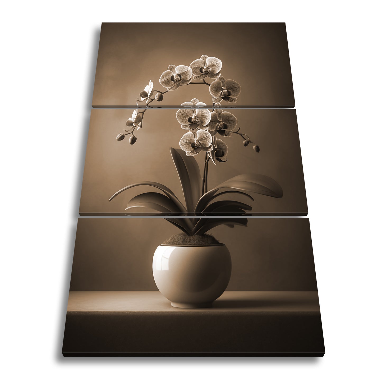 Hauptbild Sepia 3 Teilig