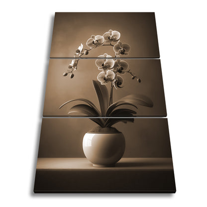 Hauptbild Sepia 3 Teilig