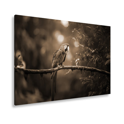 Hauptbild Sepia Standart