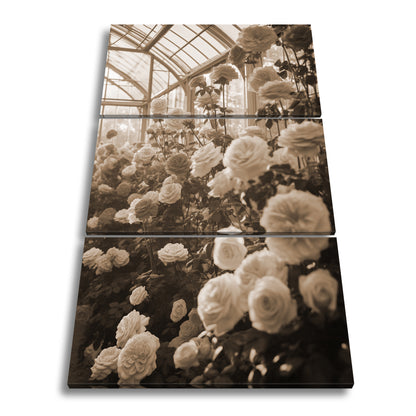 Hauptbild Sepia 3 Teilig