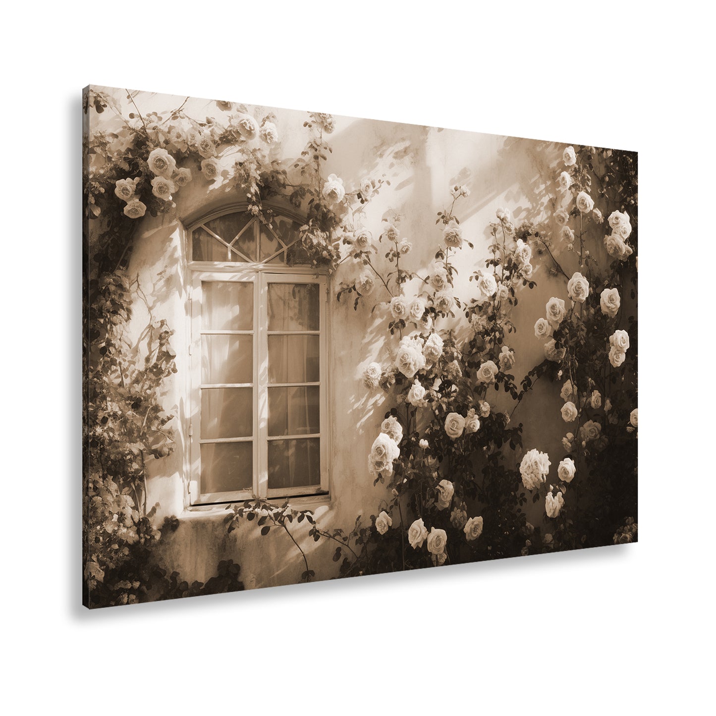 Hauptbild Sepia Standart