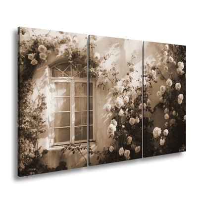 Hauptbild Sepia 3 Teilig