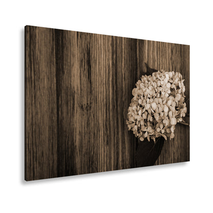 Hauptbild Sepia Standart