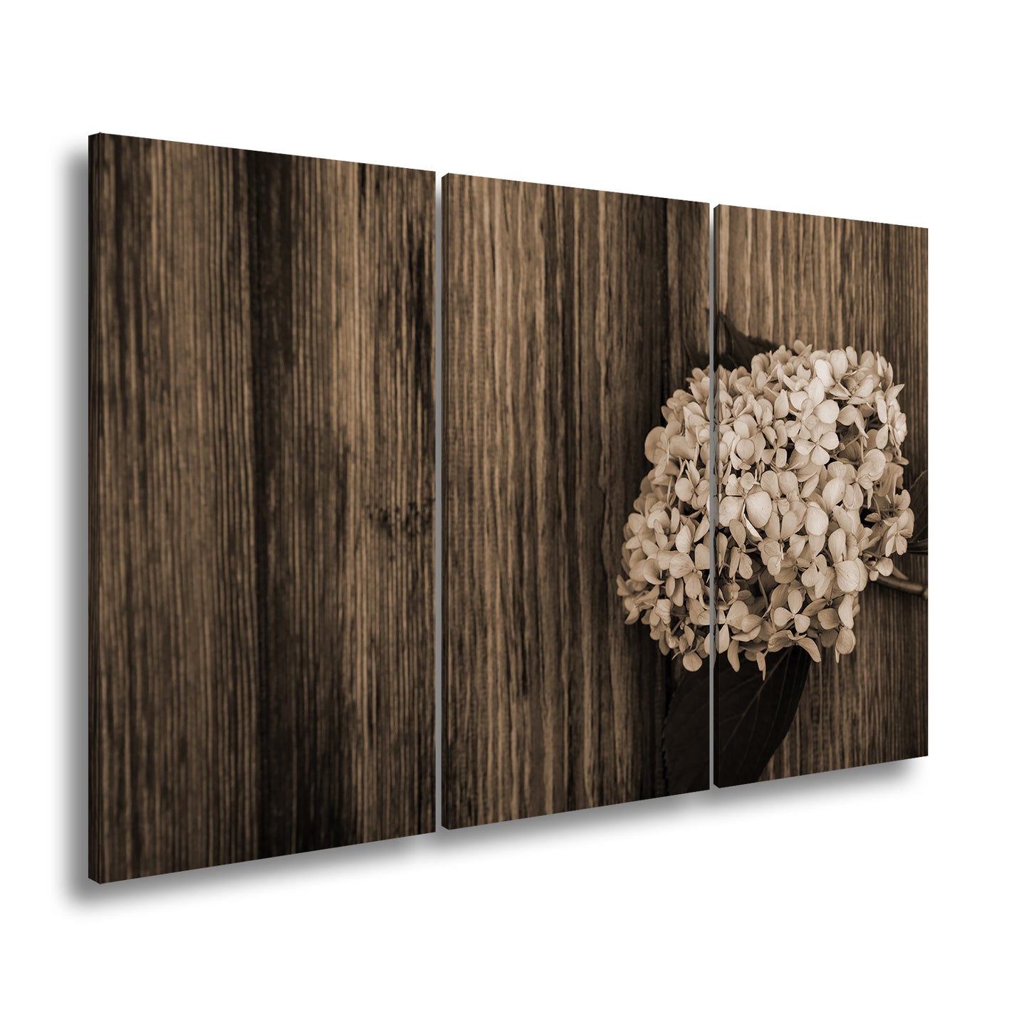 Hauptbild Sepia 3 Teilig