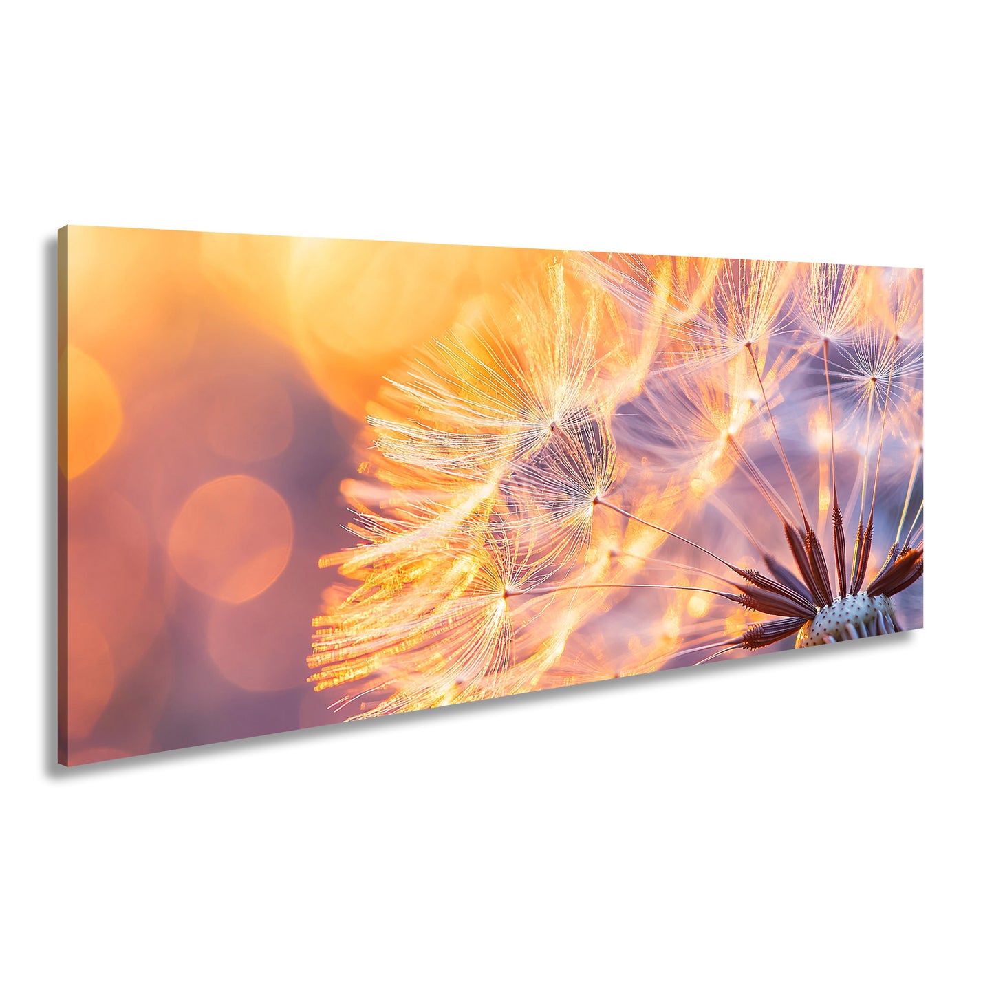 Hauptbild Farbig Panorama