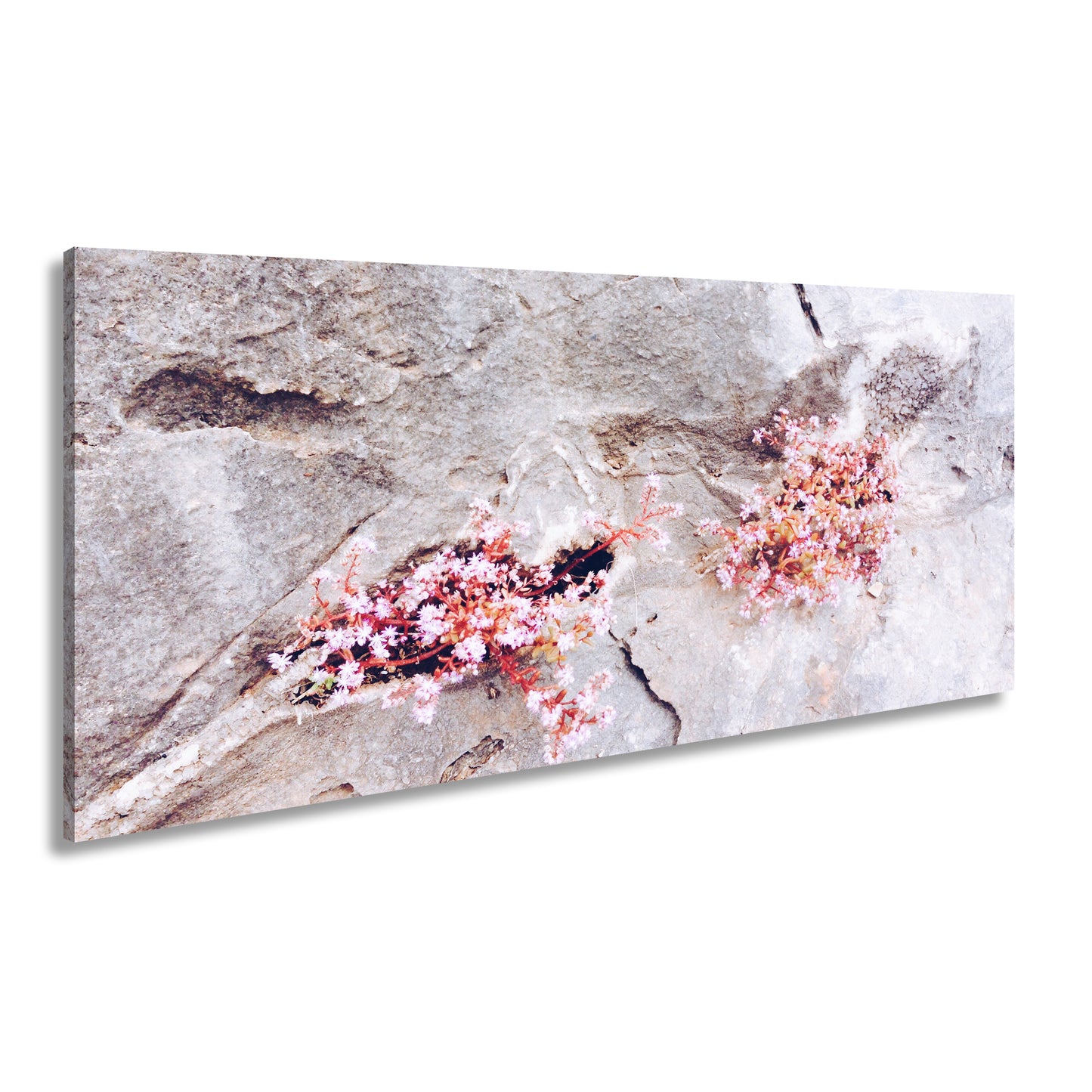 Hauptbild Farbig Panorama