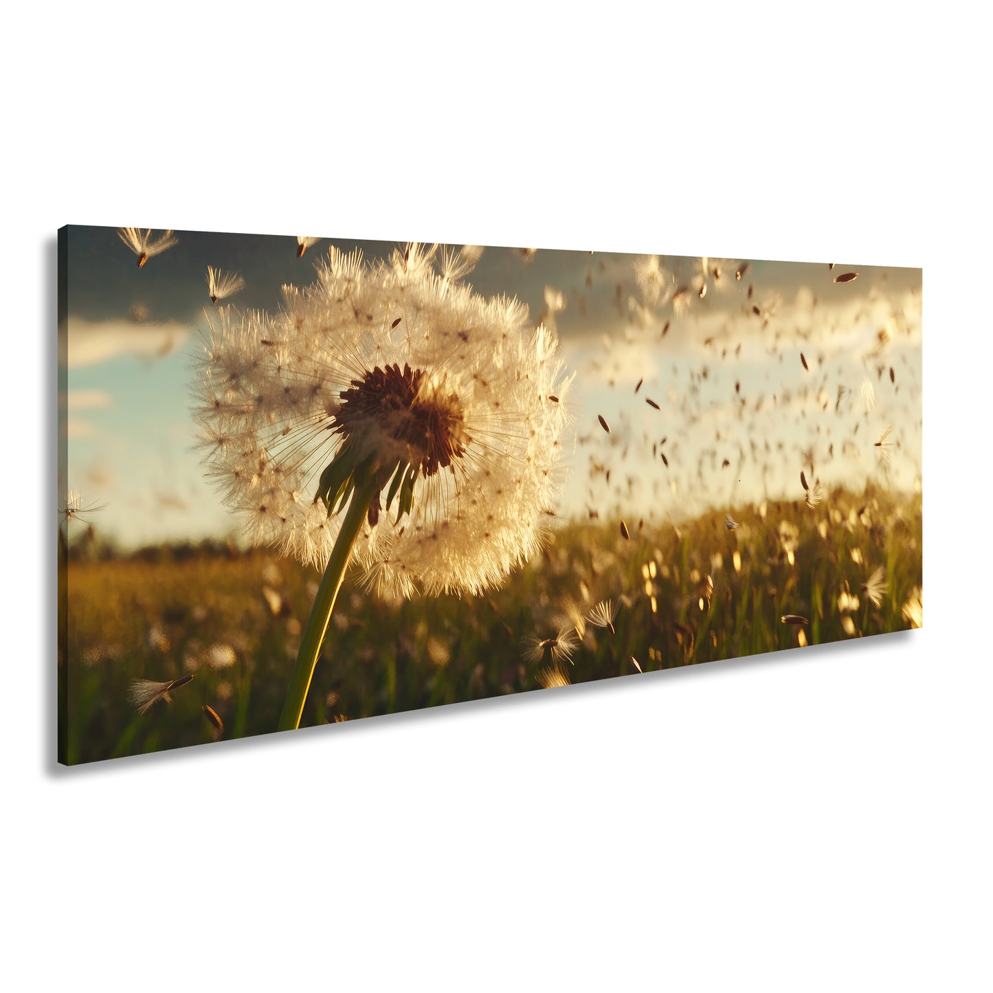 Hauptbild Farbig Panorama