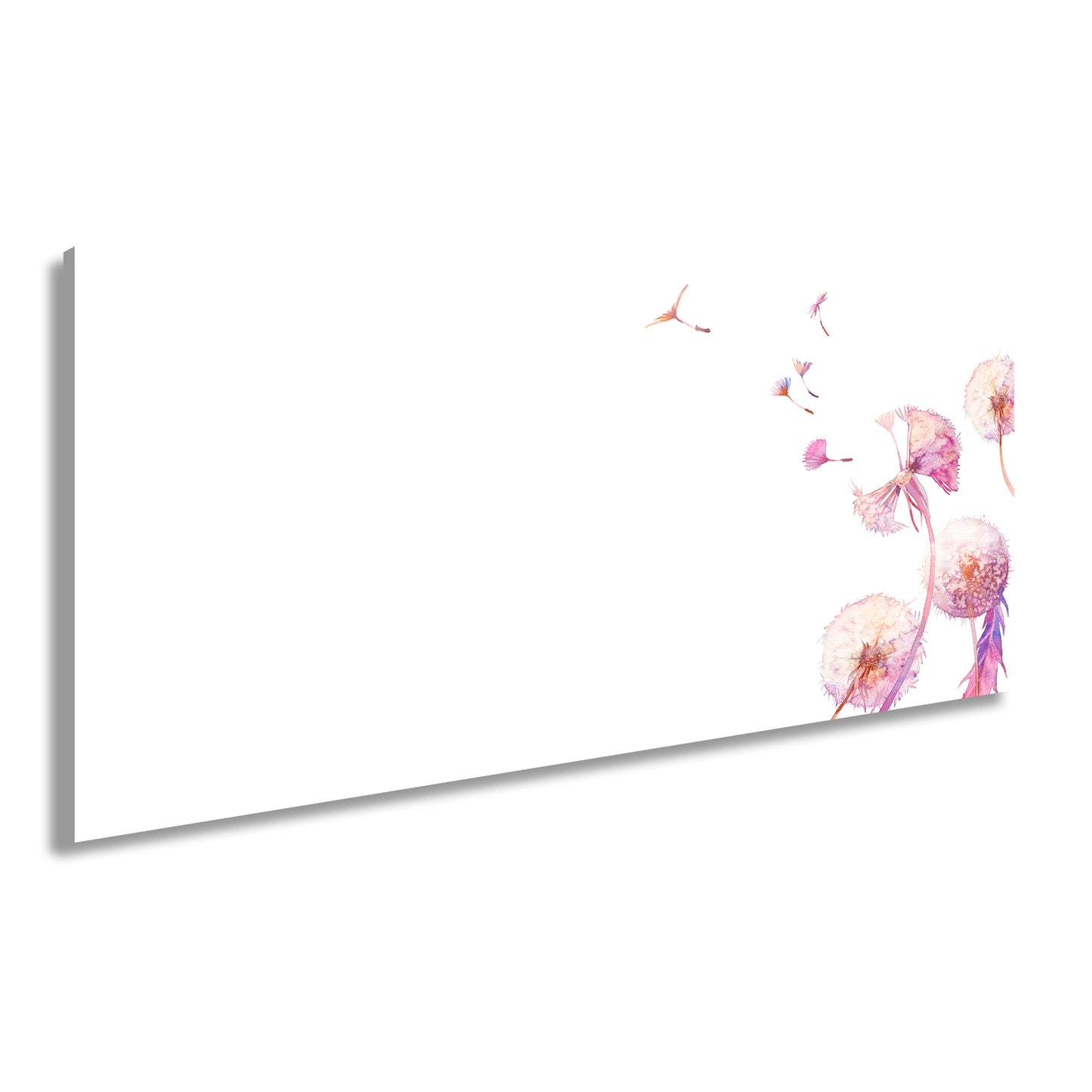 Hauptbild Farbig Panorama