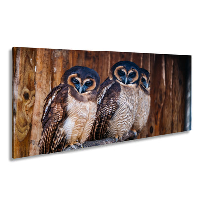 Hauptbild Farbig Panorama