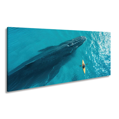 Hauptbild Farbig Panorama