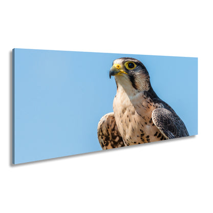 Hauptbild Farbig Panorama