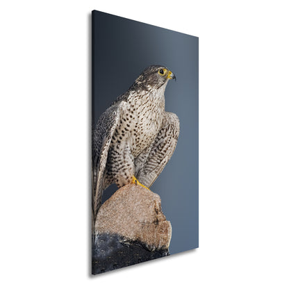 Hauptbild Farbig Panorama