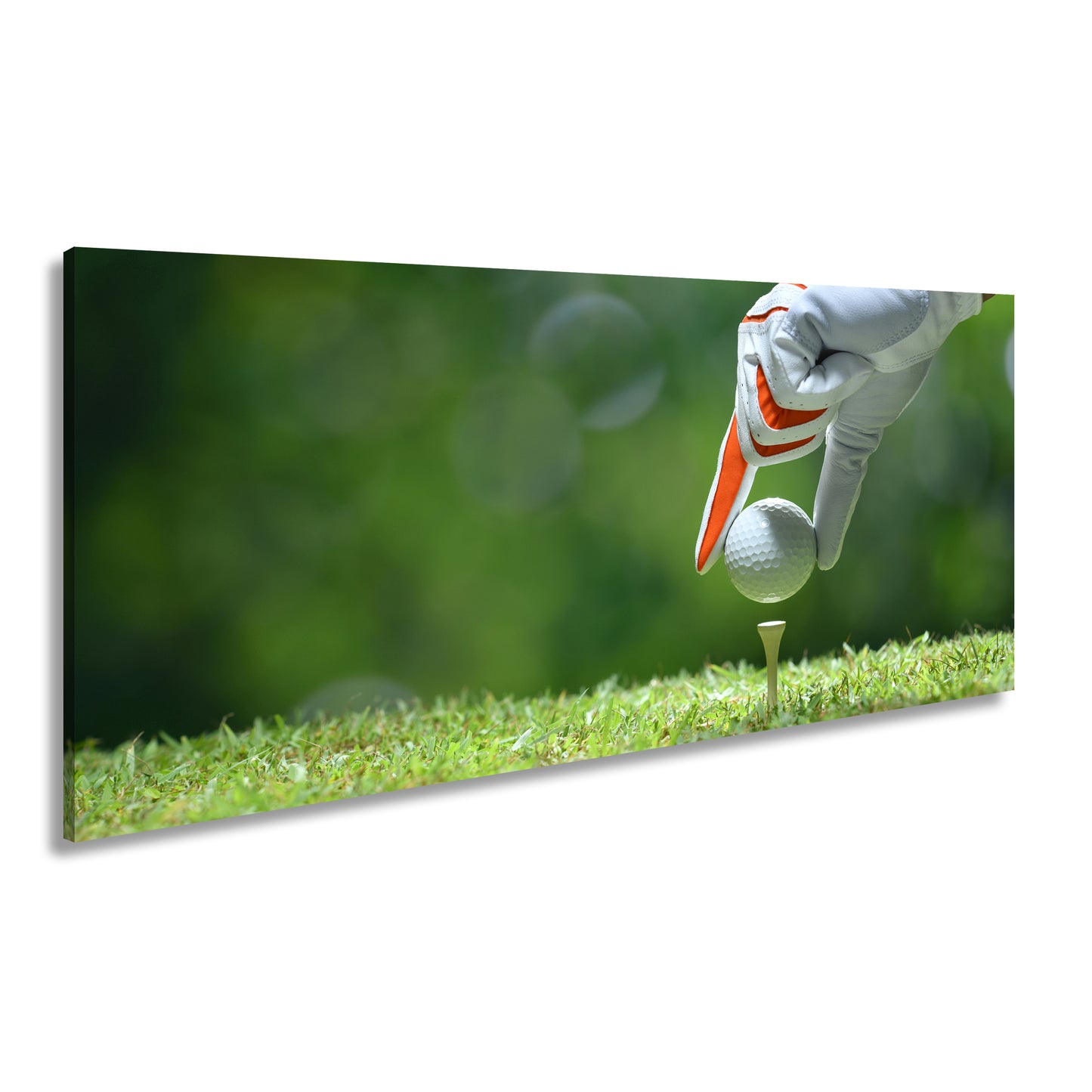 Hauptbild Farbig Panorama