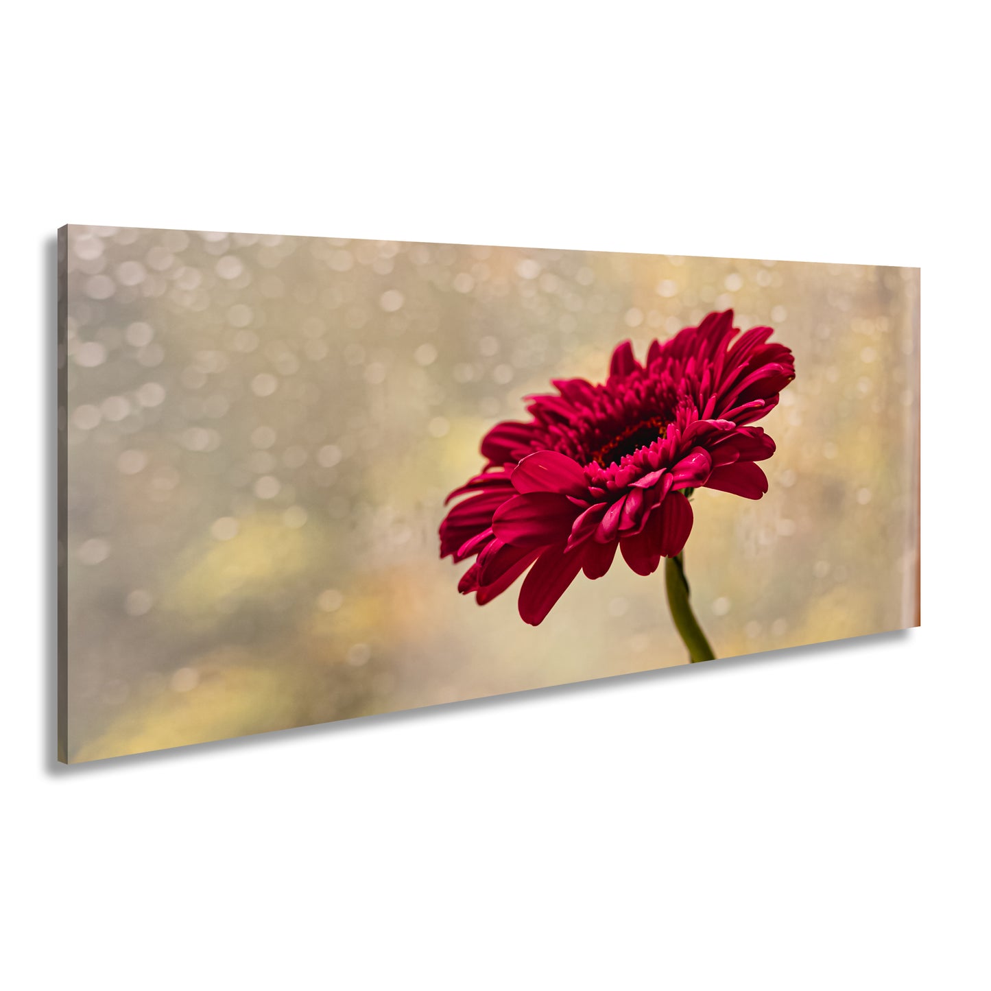 Hauptbild Farbig Panorama