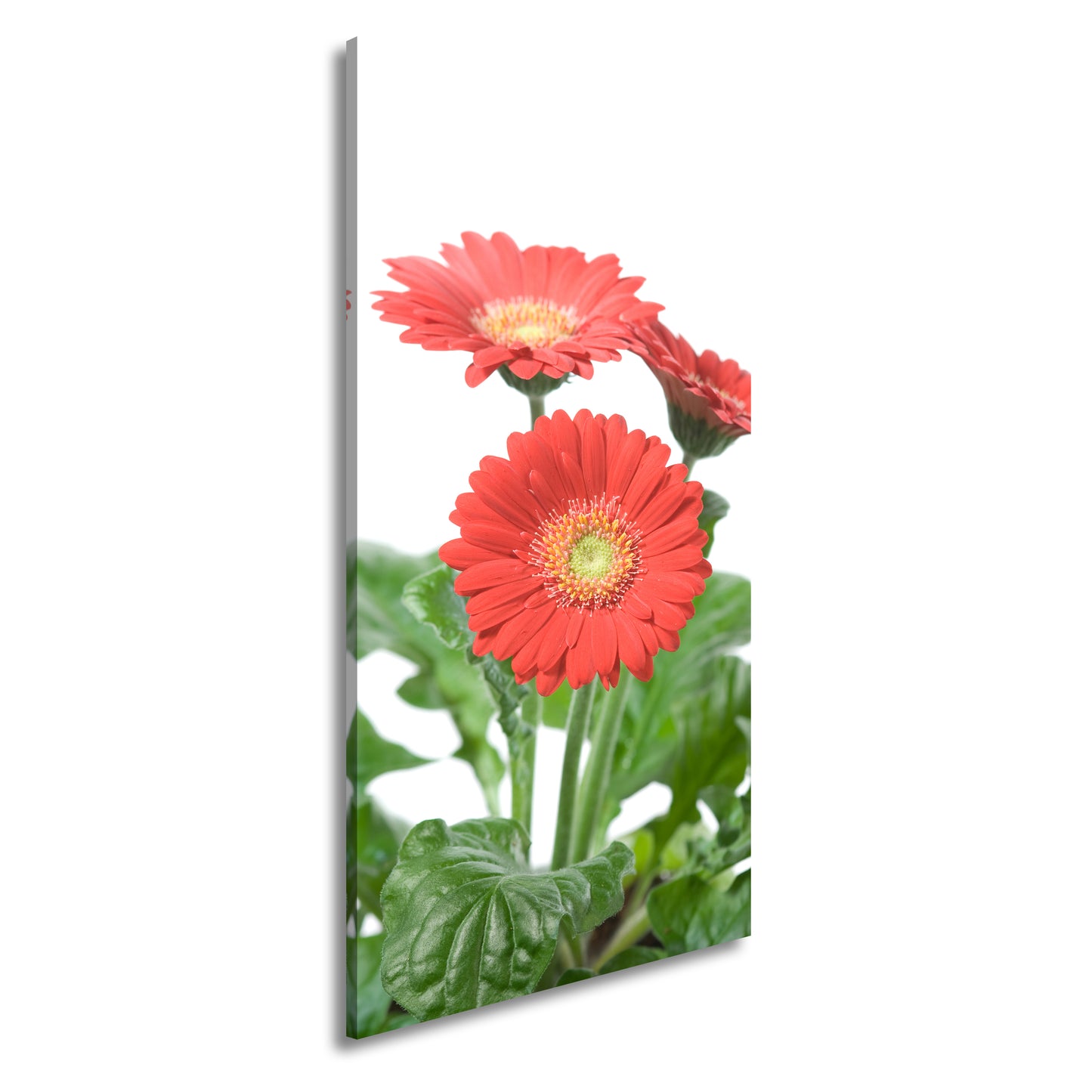 Hauptbild Farbig Panorama