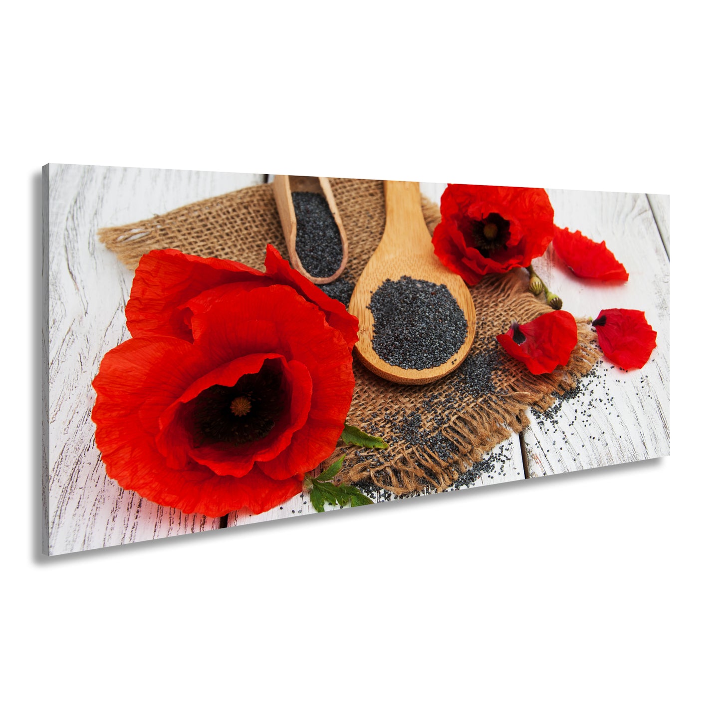 Hauptbild Farbig Panorama